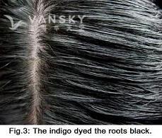 241205142123_Hair-Dyed with indigo-s.jpg